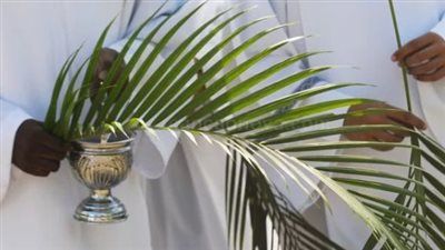 رسائل التهنئة بـ أحد الشعانين 2025.. كل سنة والأقباط بألف خير