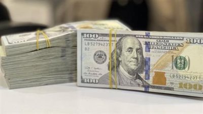 سعر الدولار في البنك المركزي المصري اليوم 16 أبريل 2025