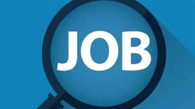 في عدة محافظات.. فرص عمل جديدة للشباب 2025