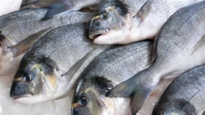 سعر السمك البلطي اليوم الخميس 17 أبريل 2025