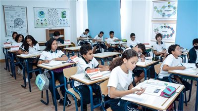 شروط وخطوات النقل من مدرسة لغات إلى مدرسة دولية في مصر