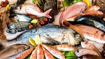  أسعار السمك والجمبري اليوم السبت 19 أبريل 2025