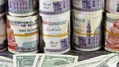  أسعار العملات الأجنبية والعربية أمام الجنيه اليوم 20 أبريل 2025