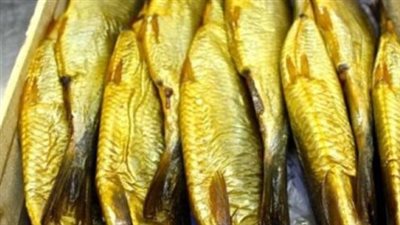 عيد الربيع.. سعر كيلو الرنجة اليوم في الأسواق