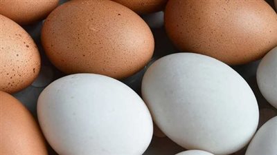 شم النسيم.. استمرار فتح المجمعات الاستهلاكية اليوم لطرح البيض والدواجن بأسعار مخفضة