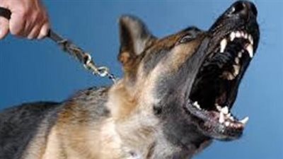 أبرز الكلاب المحظور حيازتها