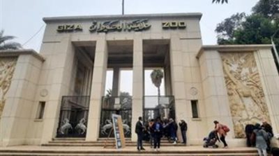  موعد افتتاح حديقة الحيوان في الجيزة 