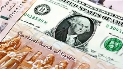 سعر الدولار في البنك المركزي المصري اليوم 24 أبريل 2025