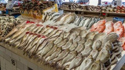 سعر السمك والجمبري اليوم الخميس 24 أبريل 2025