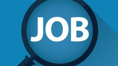 طريقة التقديم في الوظائف الشاغرة 2025 عبر بوابة الوظائف الحكومية