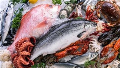  أنواع الأسماك والجمبري في بداية تعاملات اليوم الثلاثاء 22 أبريل 2025