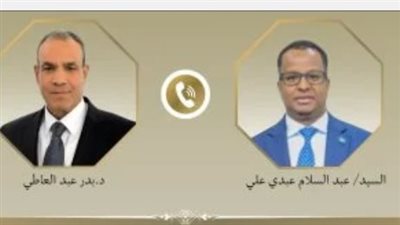 بدر عبد العاطى يجرى اتصالًا هاتفيًا بوزير خارجية الصومال الجديد