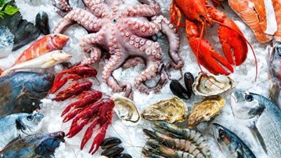 أسعار السمك والجمبري اليوم الأربعاء 30 أبريل 2025 في الأسواق