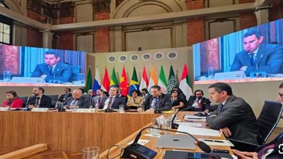 فى اجتماع وزراء خارجية البريكس.. إشادة بجهود مصر لوقف إطلاق النار فى غزة