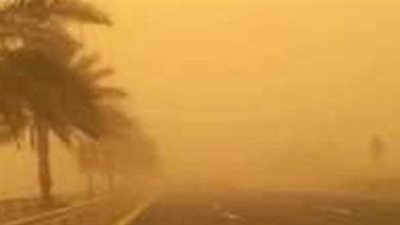 مصر.. سرعات الرياح 80 كم فى الساعة.. تحذير عاجل من عاصفة ترابية على هذه المناطق