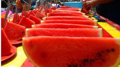 أسباب ارتفاع سعر البطيخ