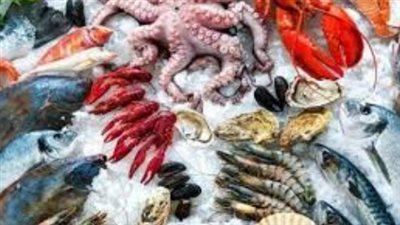  أسعار الأسماك النيلية والبحرية اليوم 3 مايو 2025