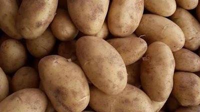  أسعار البطاطس اليوم الأربعاء 7 مايو 2025 في سوق العبور