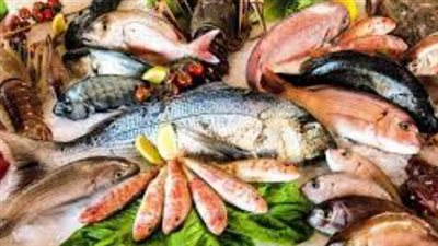 أسعار الأسماك والجمبري في صباح تعاملات اليوم السبت 10 مايو 2025