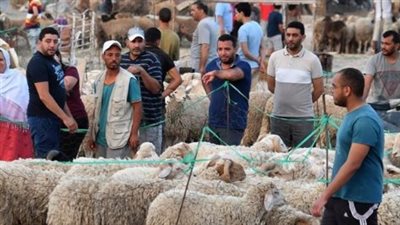 عيد الأضحى 2025 هيبقى يوم كام؟