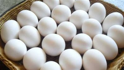 سعر كرتونة البيض البلدي اليوم 10 مايو 2025