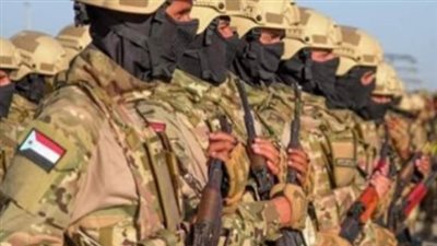 كيف تتضافر جهود القوات المسلحة الجنوبية باليمن لمواجهة خطر المهاجرين غير الشرعيين؟