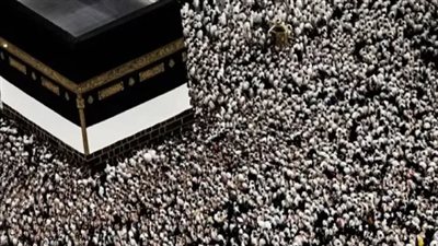 الصحة المصرية: فحص وتسلم شحنة أدوية وتجهيز 29 عيادة بمكة والمدينة لاستقبال الحجاج