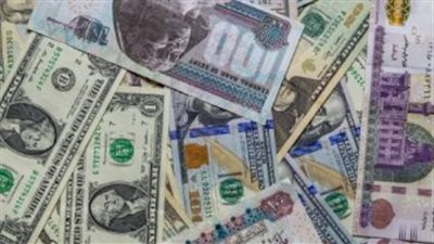 سعر الدولار في البنك المركزي المصري اليوم 13 مايو 2025