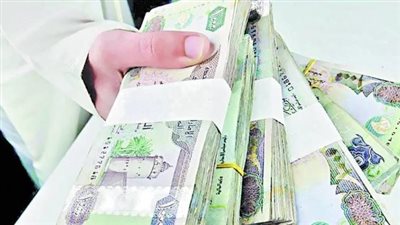 ما هو سعر الدرهم الإماراتي في البنك المركزي المصري؟