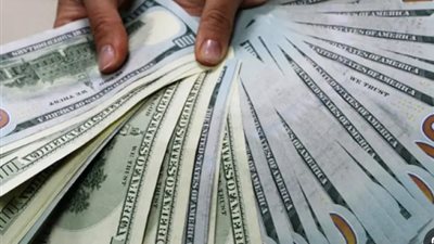 سعر الدولار USD في البنك المركزي المصري