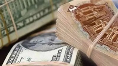سعر الدولار في البنك المركزي المصري اليوم 14 مايو 2025