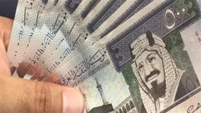 سعر الريال السعودي في البنك المركزي المصري اليوم 12 مايو 2025