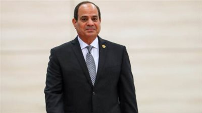 الرئاسة المصرية: الرئيس السيسى بحث مع رئيس البنك الأفريقى تنفيذ مشروعات برنامج نوفّى