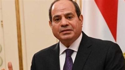  السيسى: نقدّر دور رئيس البنك الأفريقى فى توفير التمويل لتحقيق التنمية بالقارة