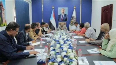  الهيئة الوطنية للإعلام الجنوبي باليمن: قوى معادية وراء حملات يائسة تستهدف الانتقالي