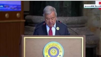 الأمم المتحدة تؤكد أن حل الدولتين الطريق الوحيد لتحقيق السلام بين فلسطين وإسرائيل