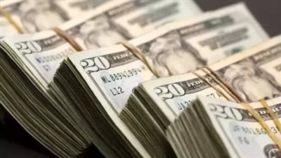  سعر الدولار الأمريكي أمام الجنيه المصري اليوم الأحد 18 مايو 2025