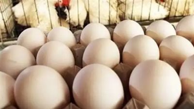  أسعار الفراخ اليوم الأحد 18 مايو 2025.. البيض بكام؟