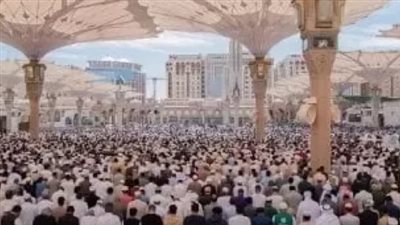  وسط خدمات متكاملة.. بعثة الحج تخصص فرقًا لرعاية كبار السن وتيسير أداء المناسك