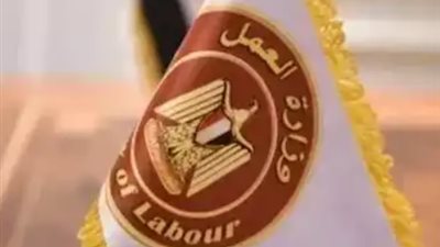 تفاصيل الوظائف المتاحة 2025.. وزارة العمل توضح