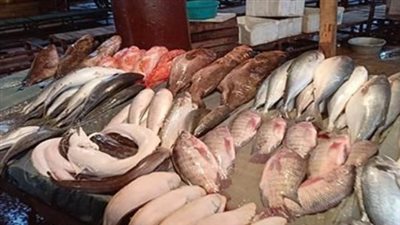 سعر السمك البلطي اليوم 25 مايو 2025