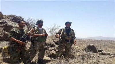 في ذكرى التحرير.. تجربة الضالع أكَّدت أنَّ تحقيق النصر لا يكتمل إلا بتعزيزه وترسيخه