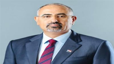  نائب رئيس مجلس القيادة باليمن: تحرير الضالع باكورة النصر ضد المشروع الإيراني