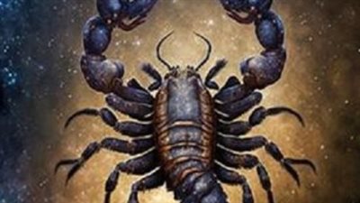 توقعات الأبراج لـ برج العقرب اليوم 26 مايو 2025