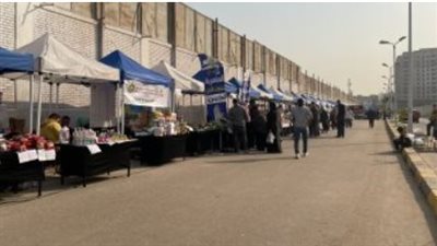 ما هي عناوين أسواق اليوم الواحد فى أحياء محافظة الجيزة ومواعيد عملها؟