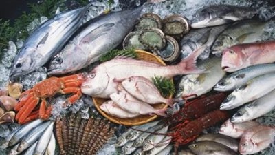 أسعار الأسماك والجمبري اليوم الأربعاء 28 مايو 2025