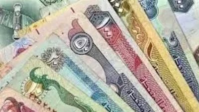 سعر الدرهم الإماراتي في البنك المركزي المصري اليوم 29 مايو 2025