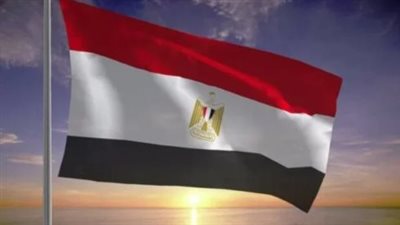 اليوم.. مصر تُحيى الذكرى الـ77 لقوات حفظ السلام التابعة للأمم المتحدة
