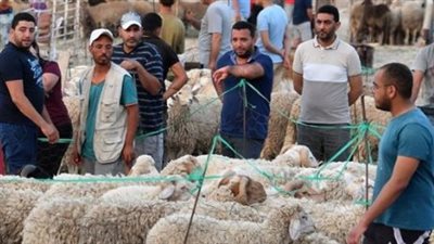 موعد أول أيام عيد الأضحى 2025 فلكيًا.. العد التنازلي بدأ