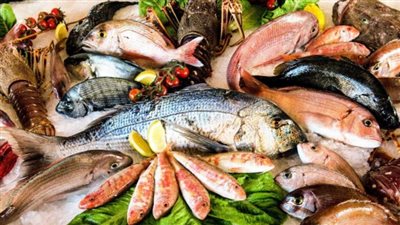 سعر السمك البلطي اليوم السبت 31 مايو 2025